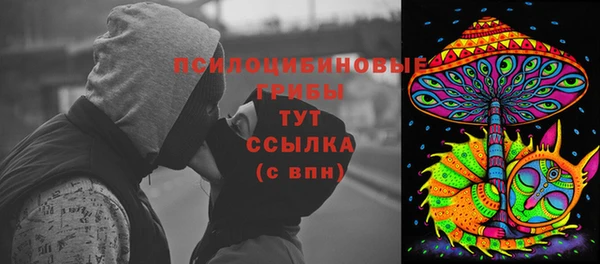 2c-b Верхний Тагил